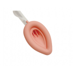 Silicone laryngeal mask, double lumen type